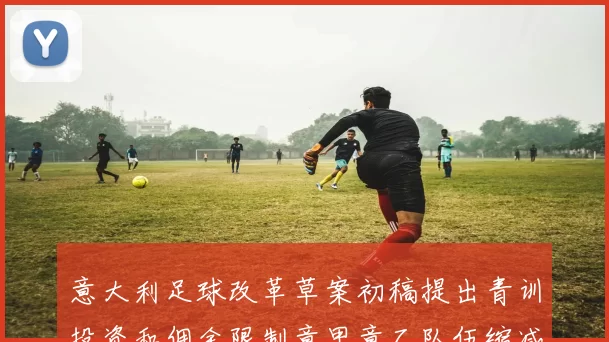 意大利足球改革草案初稿提出青训投资和佣金限制意甲意乙队伍缩减至18队