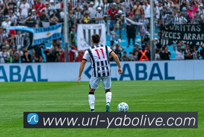 数据防护可视化